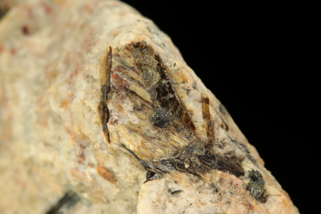 Astrophyllite. - Image 6