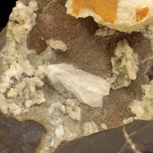 Whewellite