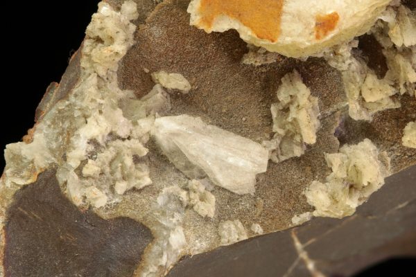 Whewellite