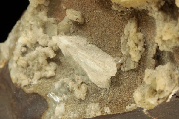 Whewellite - Image 5