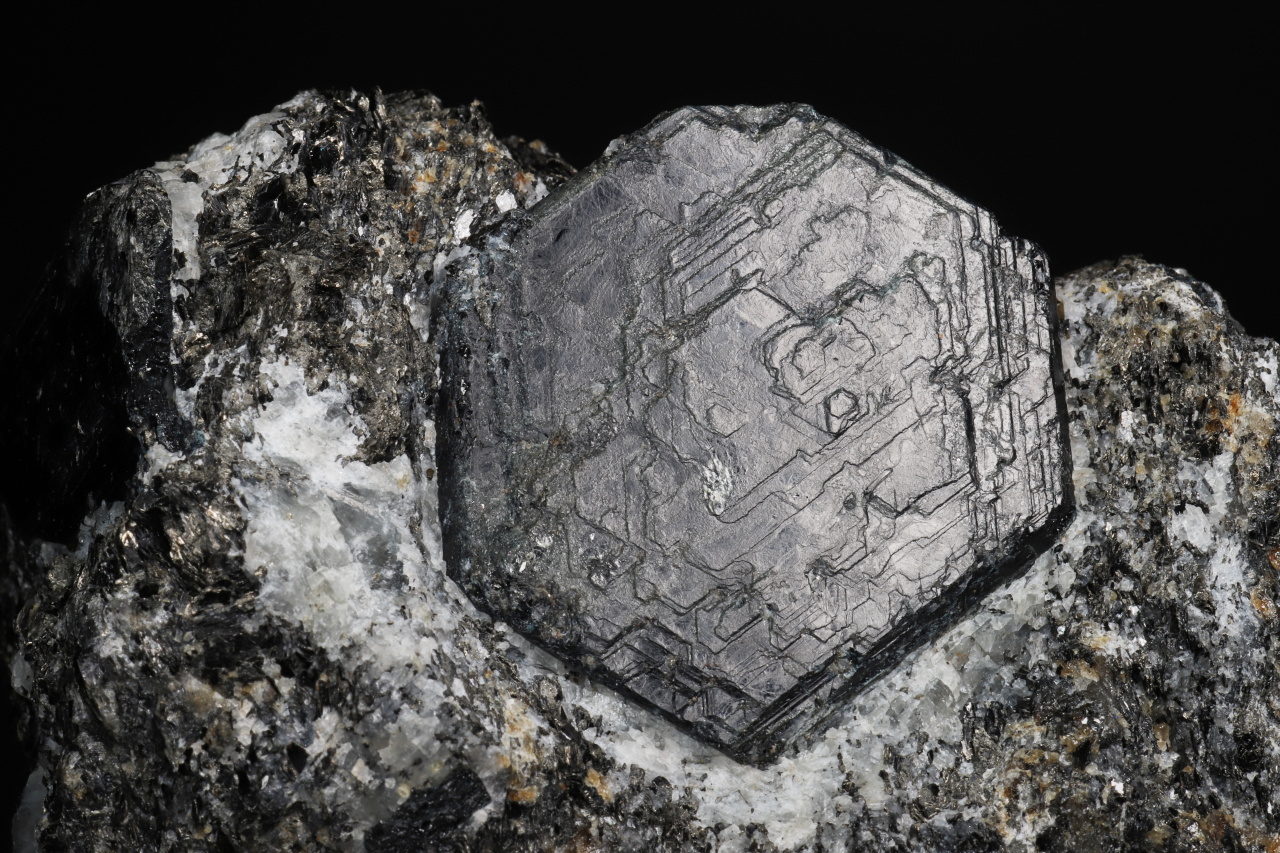 Sapphirine - Image 4