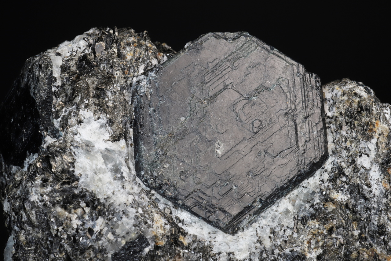 Sapphirine - Image 3