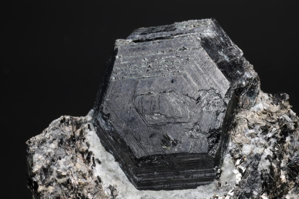 Sapphirine - Image 4