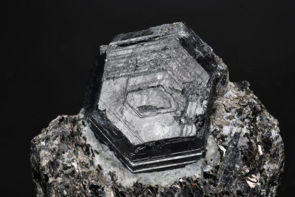 Sapphirine - Image 3