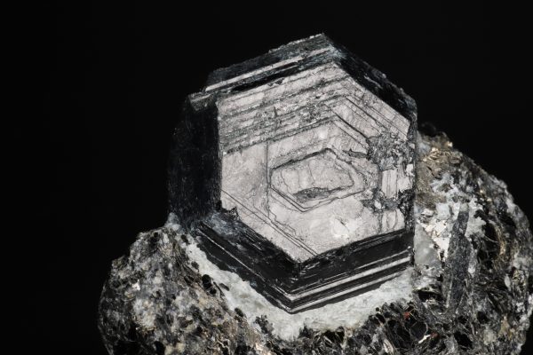 Sapphirine - Image 2