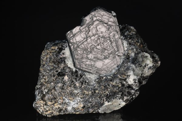 Sapphirine - Image 8