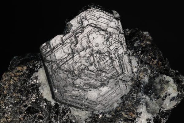 Sapphirine - Image 7