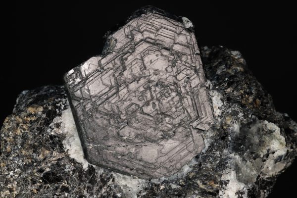 Sapphirine - Image 6