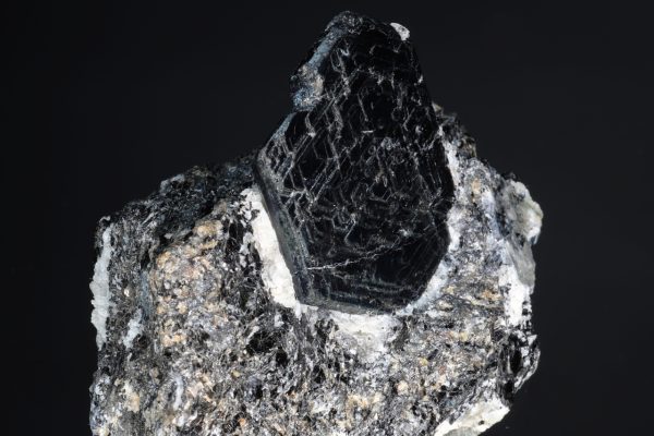 Sapphirine - Image 5