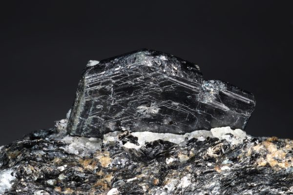 Sapphirine - Image 2
