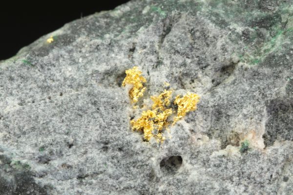 Gold - Image 5