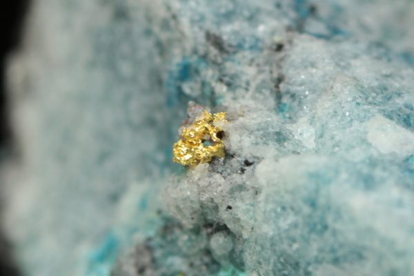 Gold - Image 6