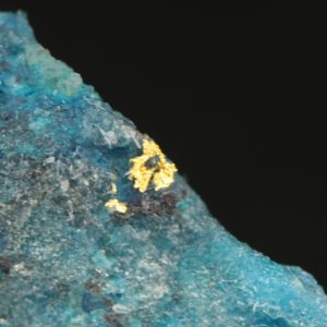 Gold, shattuckite