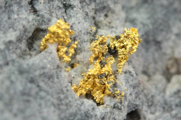 Gold - Image 8