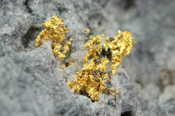 Gold - Image 9