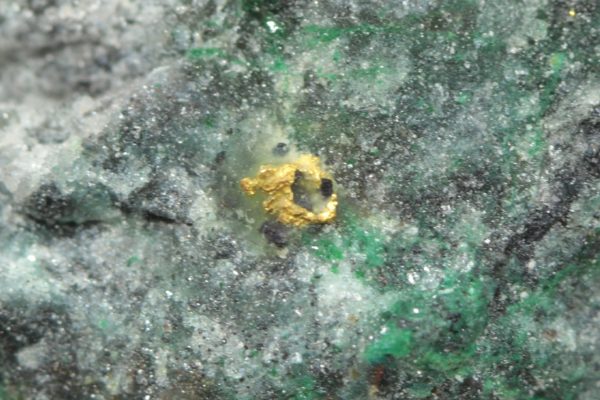 Gold - Image 10