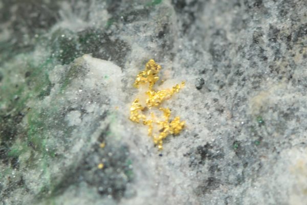 Gold - Image 11