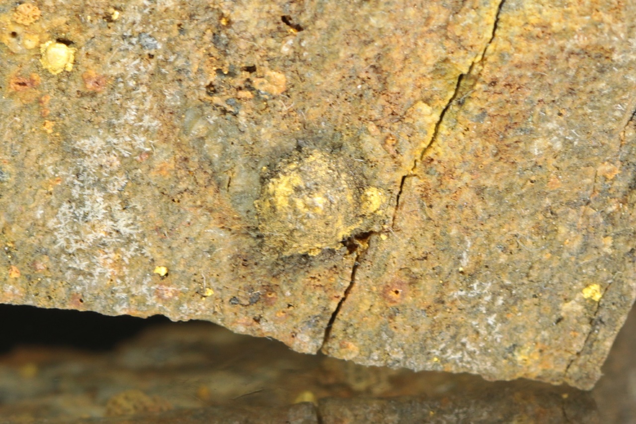 Calaverite (roasted ore) - Image 8