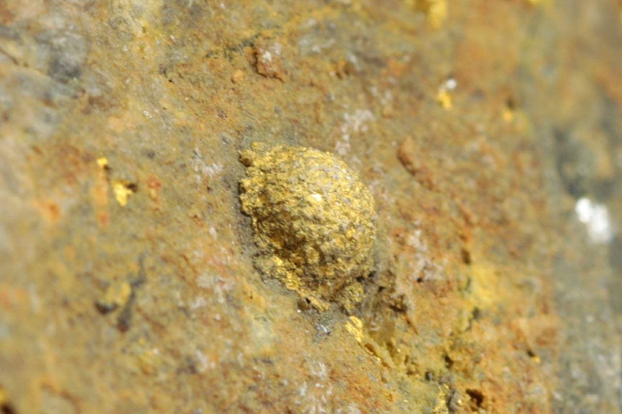 Calaverite (roasted ore) - Image 9