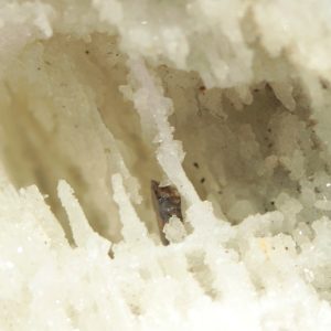 Pachnolite, thomsenolite
