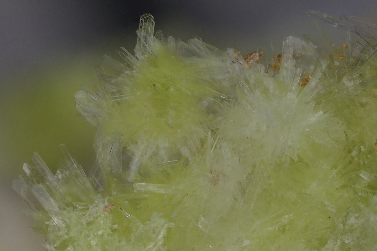 Carlhintzeite, creedite