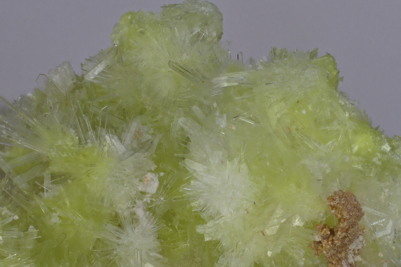 Carlhintzeite, creedite - Image 3
