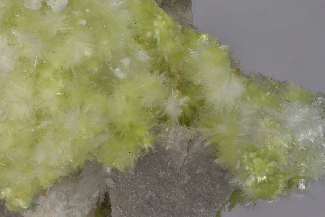 Carlhintzeite, creedite - Image 6