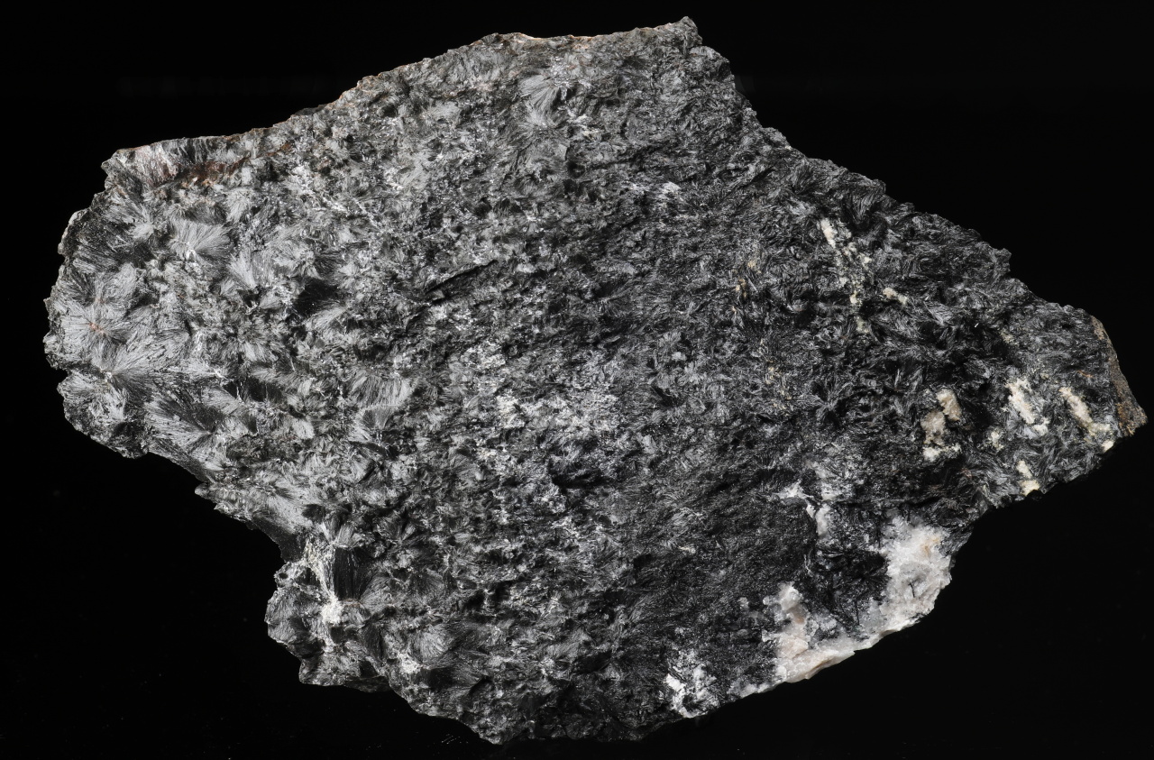 Ludwigite