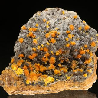 Boltwoodite