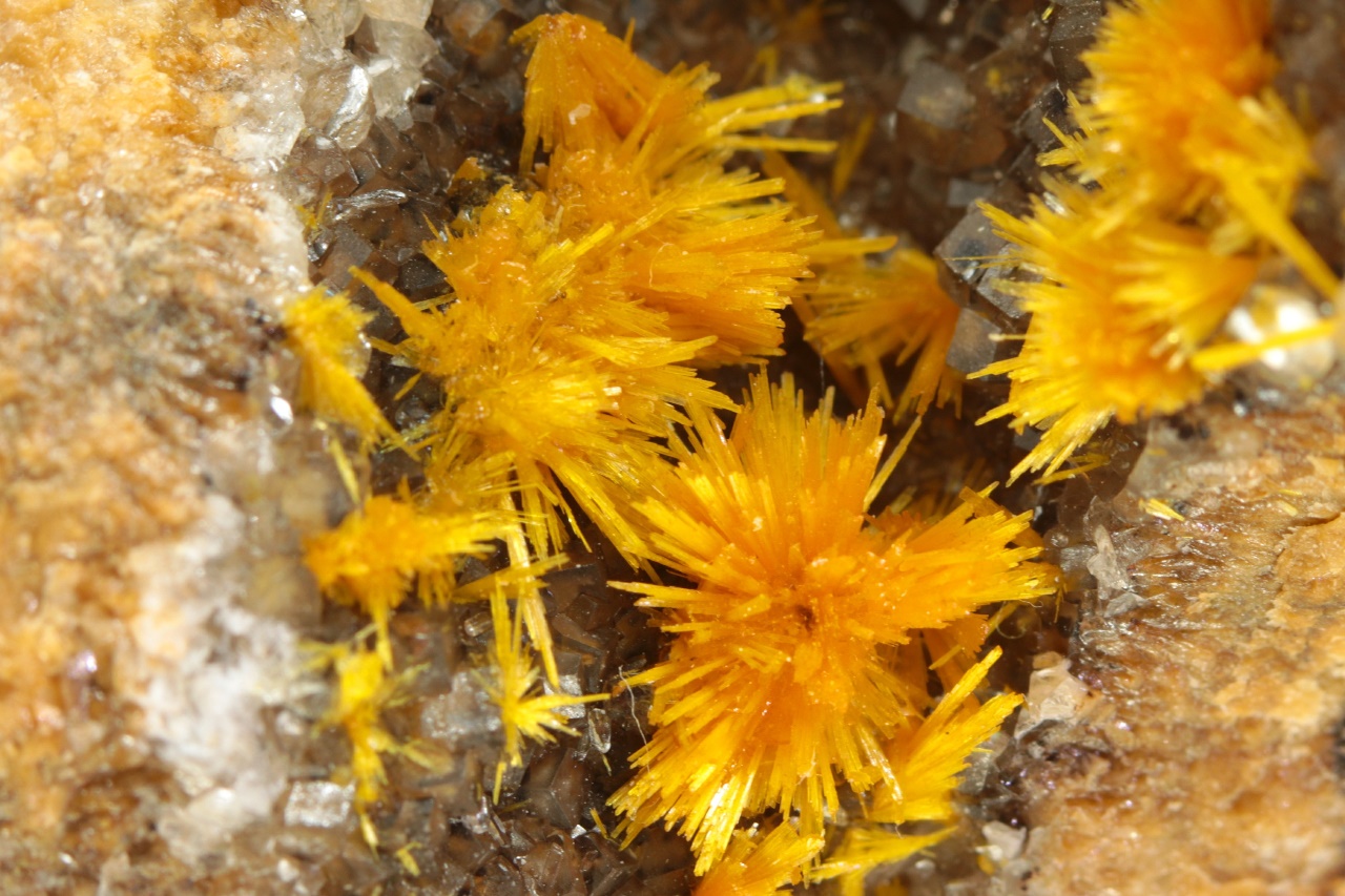 Boltwoodit - Image 6