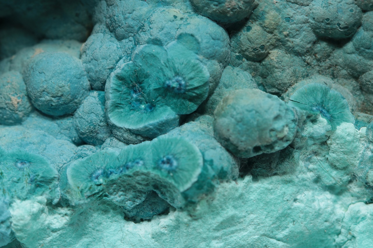 Shattuckit, chryzokol - Image 6