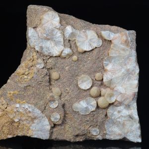 Wavellite, strengite