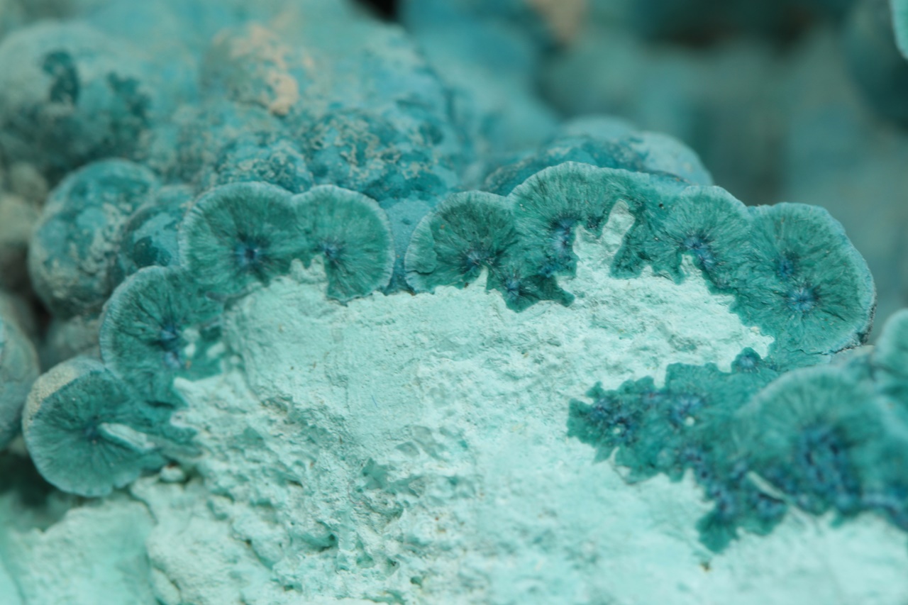 Shattuckit, chrysokol - Image 12