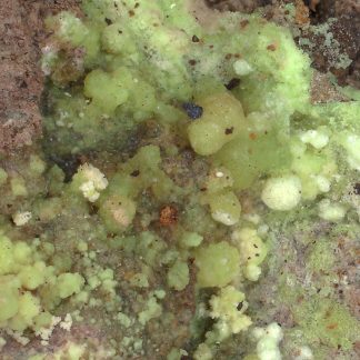 Andersonite
