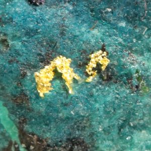 Gold, shattuckite