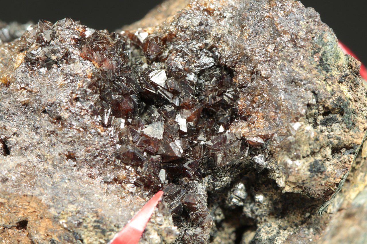 Correianevesit - Image 5