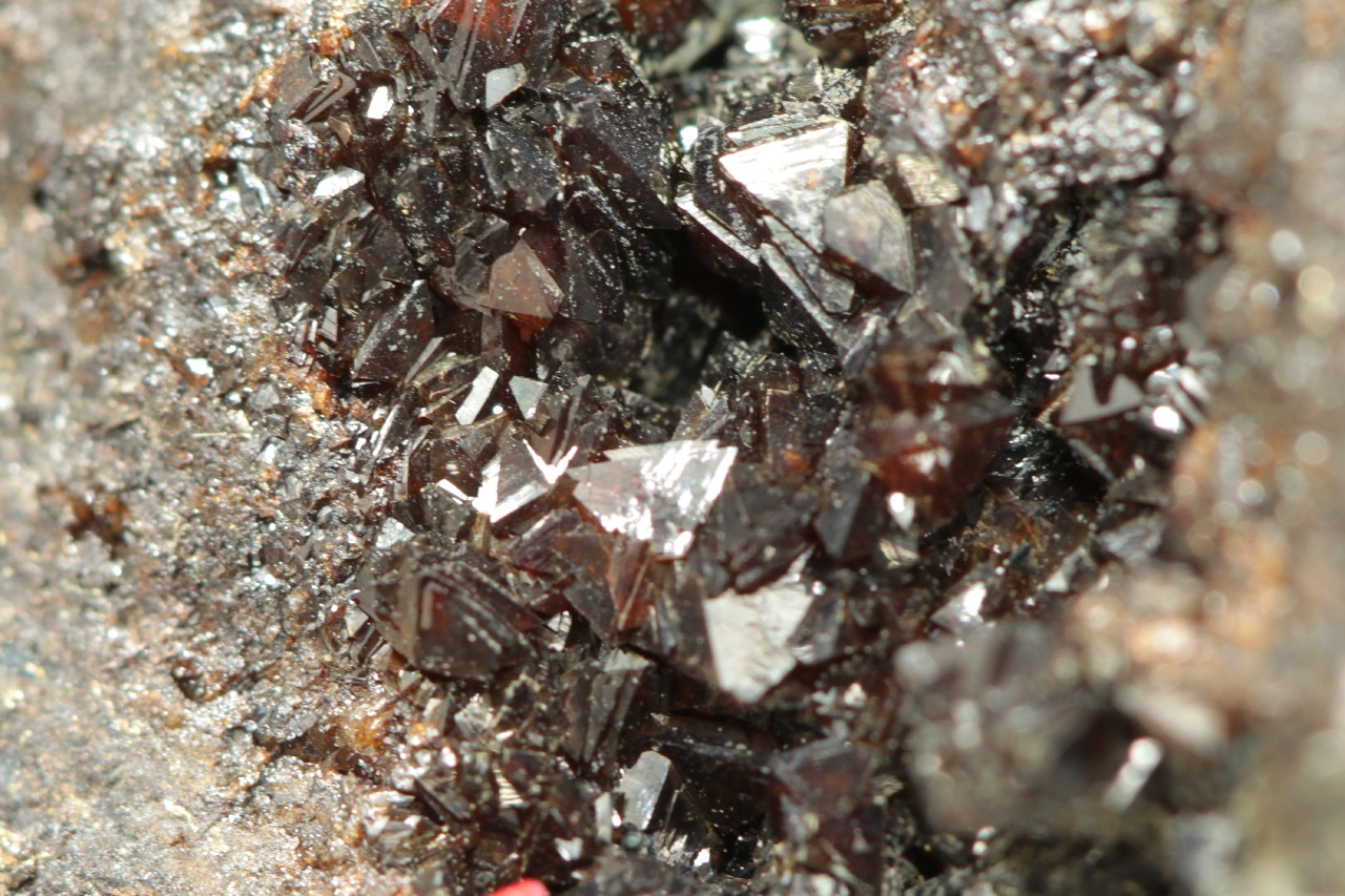 Correianevesit - Image 7