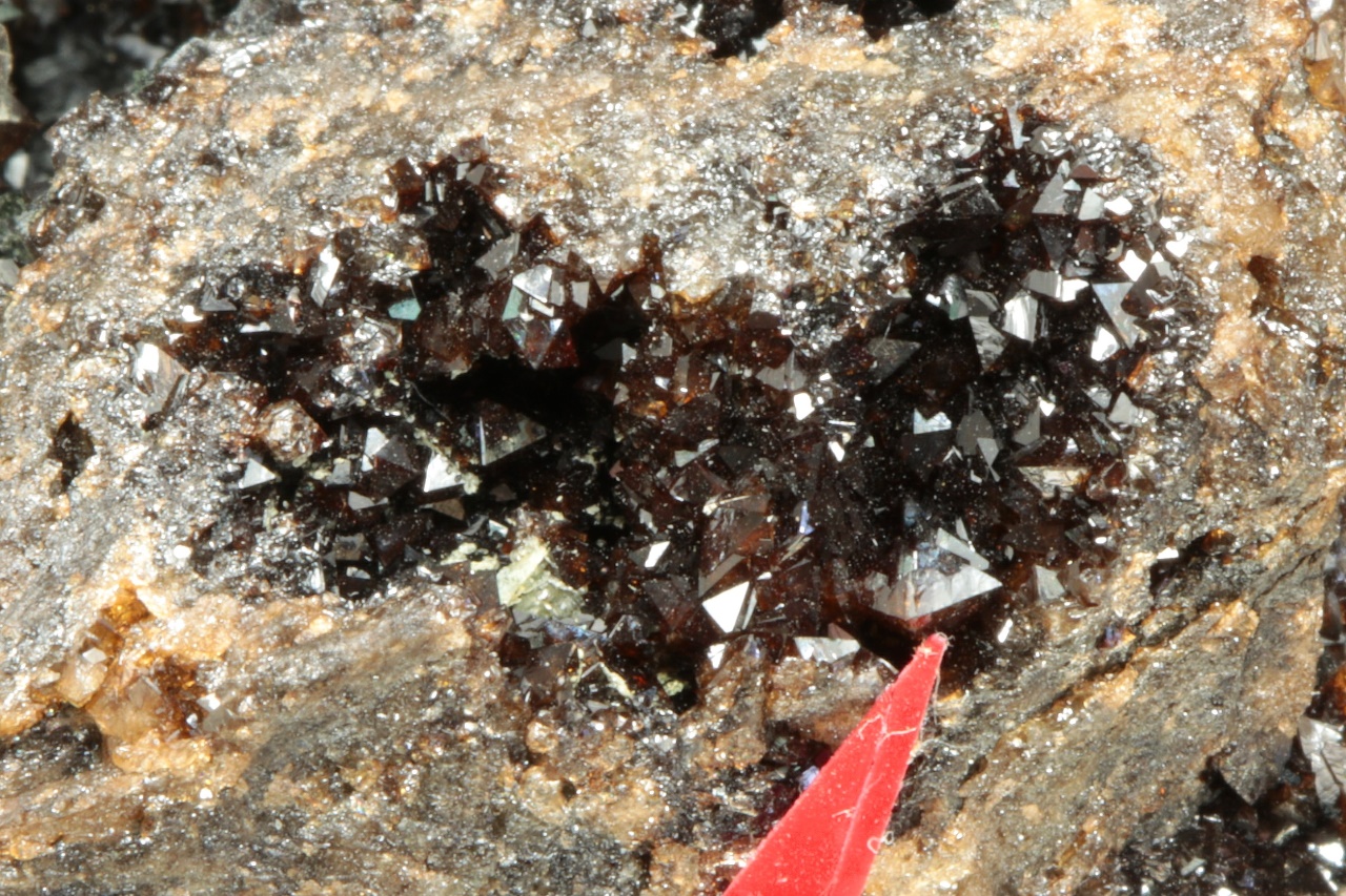 Correianevesit - Image 8