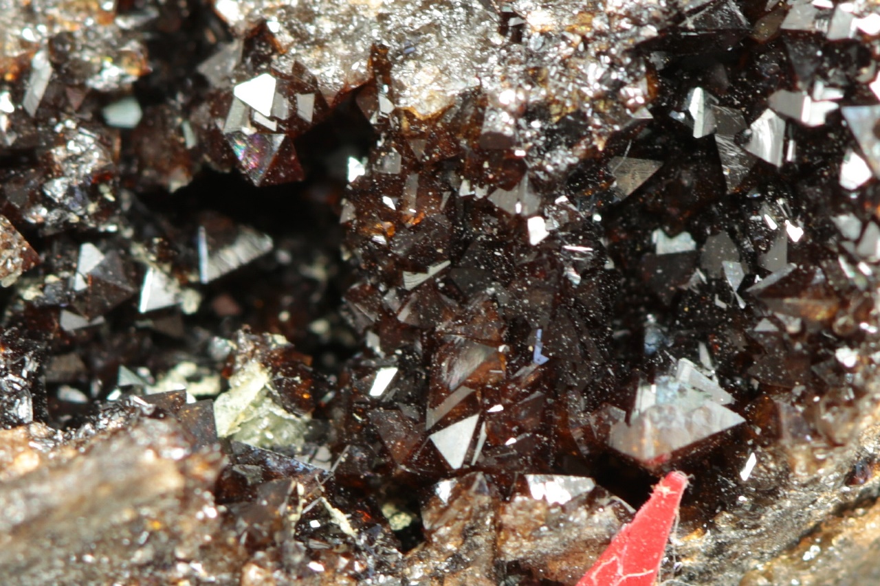 Correianevesit - Image 9