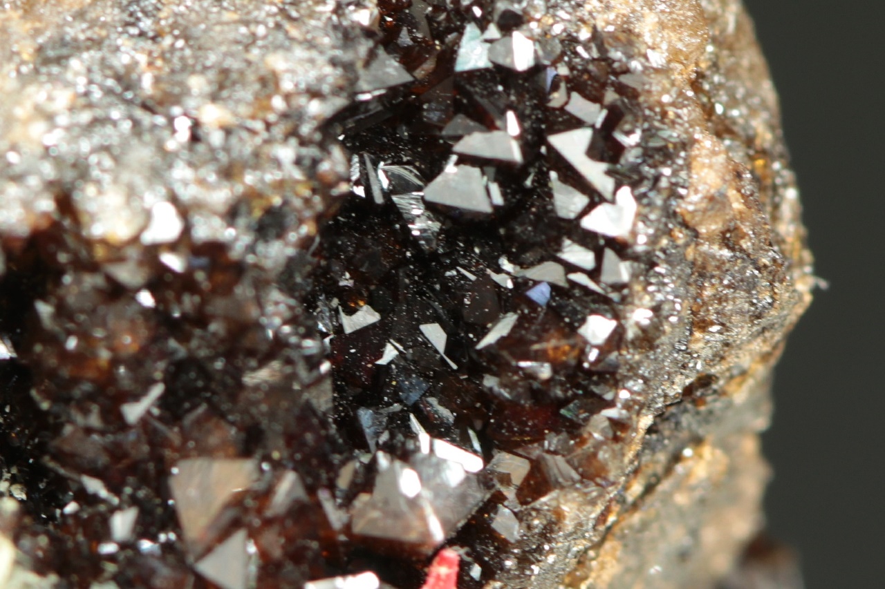 Correianevesit - Image 10