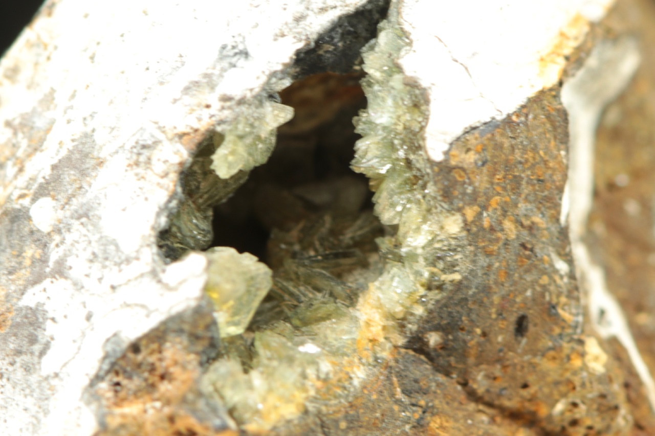 Anapait - Image 7